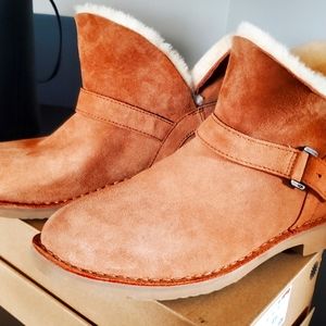UGG boots NEVER BERN WORN